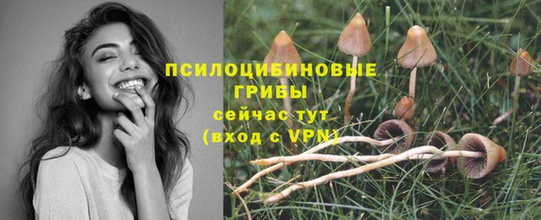 эйфоретик Иннополис