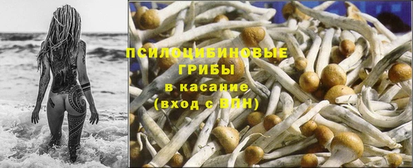 бутират Инта