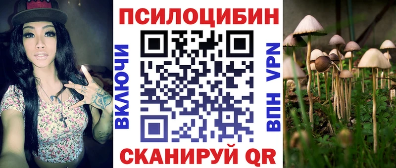 магазин продажи   Касимов  Галлюциногенные грибы ЛСД 