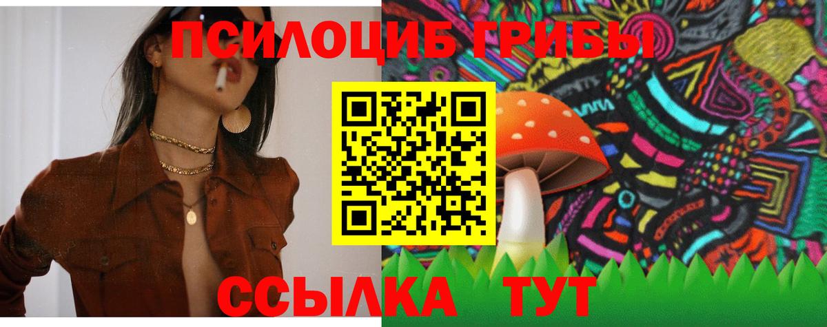 Касимов  Псилоцибиновые грибы Psilocybine cubensis  Вход с VPN 